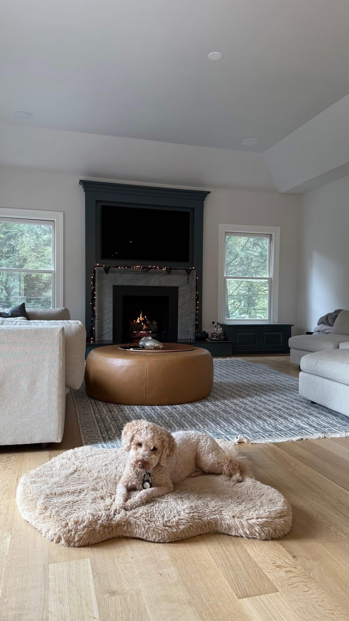 home3